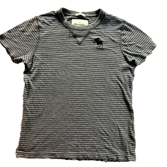 ABERCROMBIE & Fitch Kids Grey Striped Buttery Soft T-Shirt, Youth Large - Picture 1 of 3